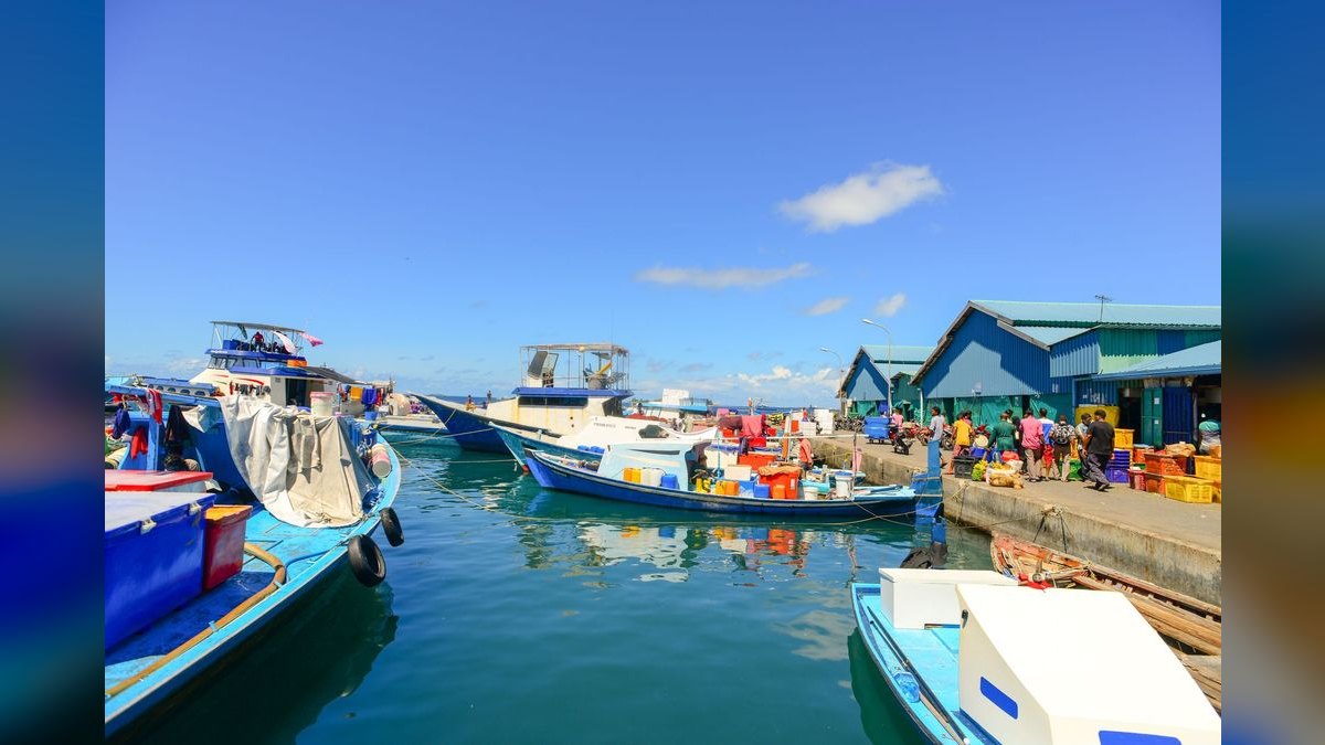 Top 10 Fish-and-Ski Boats 2027 — figure 4