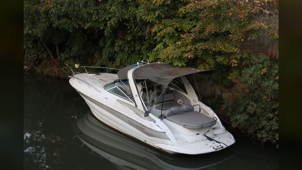Top 10 Crownline Models 2027 — figure 5