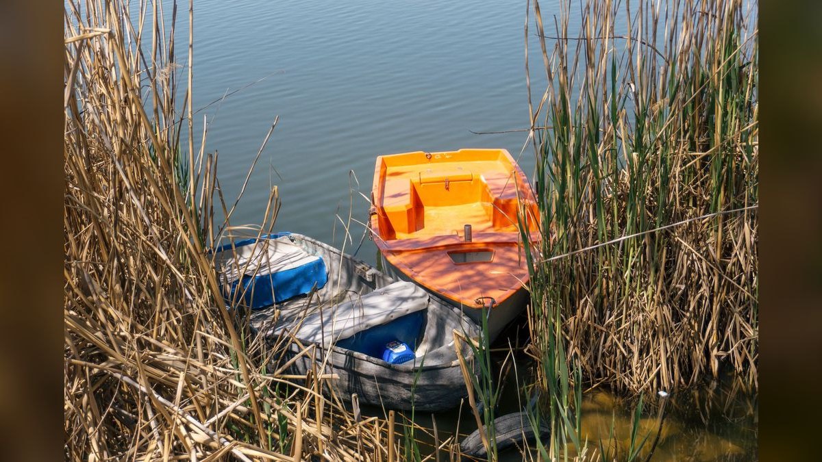 Top 10 Boats for Lake Havasu 2027 — figure 4