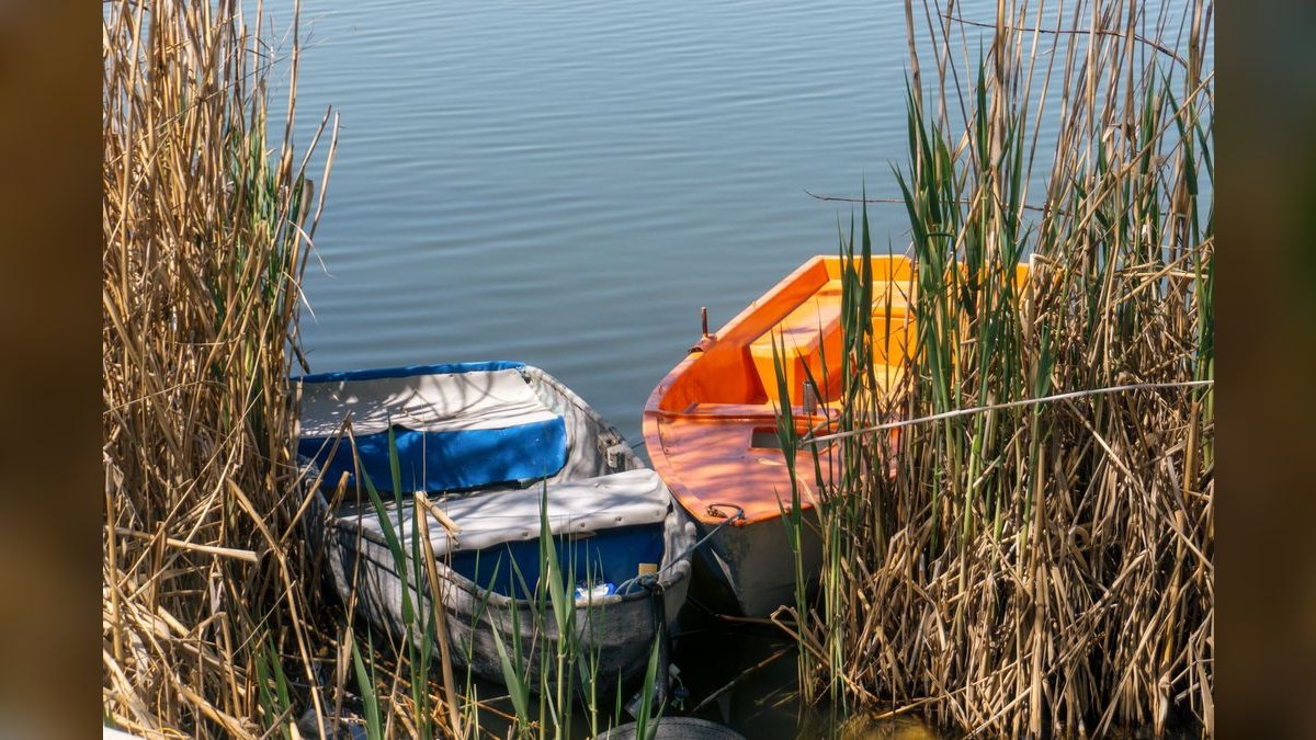 Top 10 Boats for Lake Havasu 2027 — figure 5