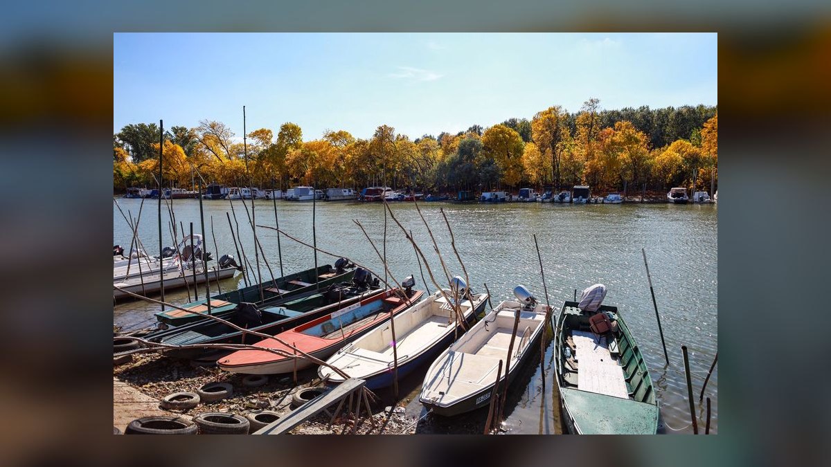 Top 10 Boats for Boat Camping 2027 — figure 8