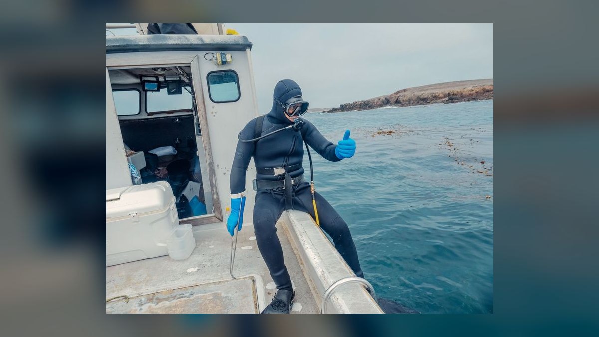 Top 10 Boats for Scuba Diving 2027 — figure 7
