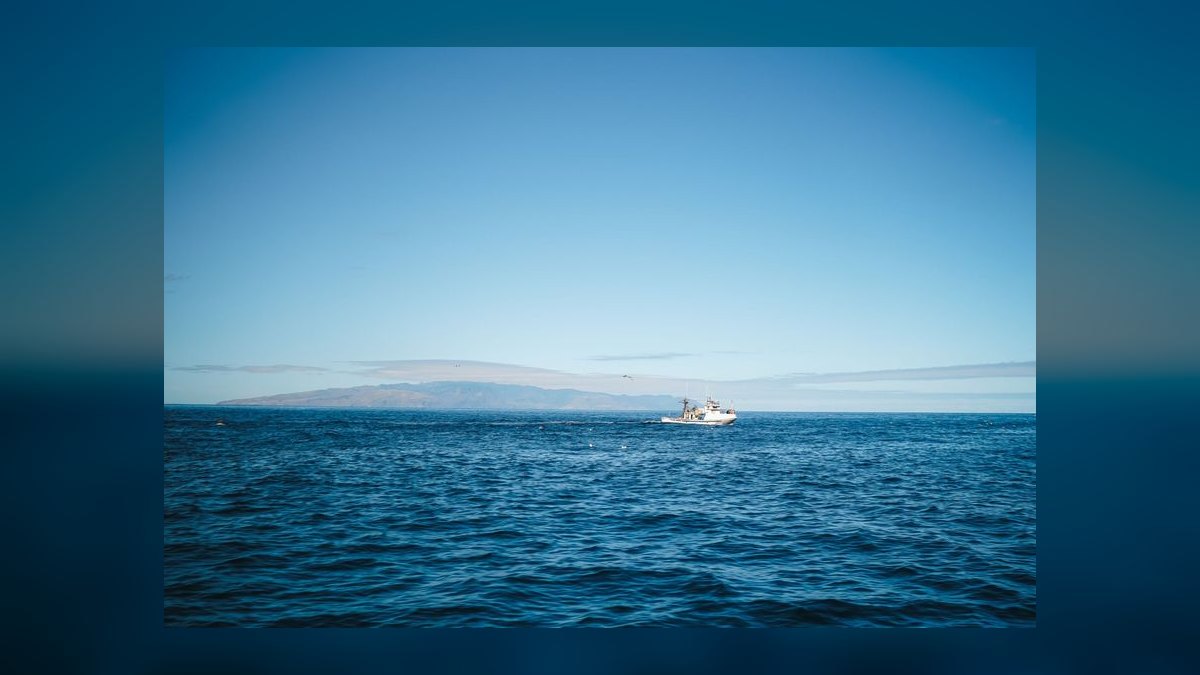 Top 10 Boats for Ocean Fishing 2027 — figure 4