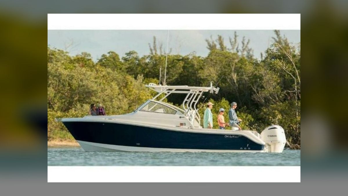 Top 10 Picnic Boats 2027 — figure 7