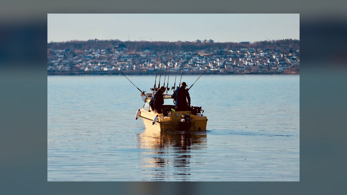 Best Used Aluminum Fishing Boats Under $20,000 in 2027 (Ranked) — figure 8