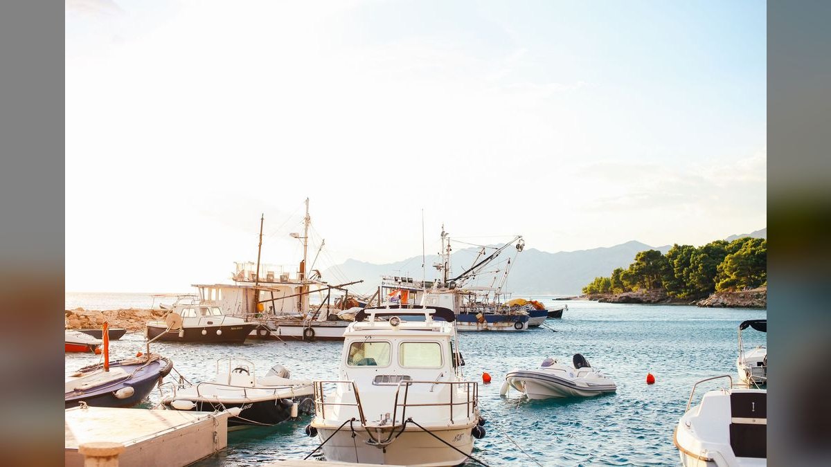 Best Used Walkaround Boats Under $75,000 in 2027 (Ranked) — figure 3