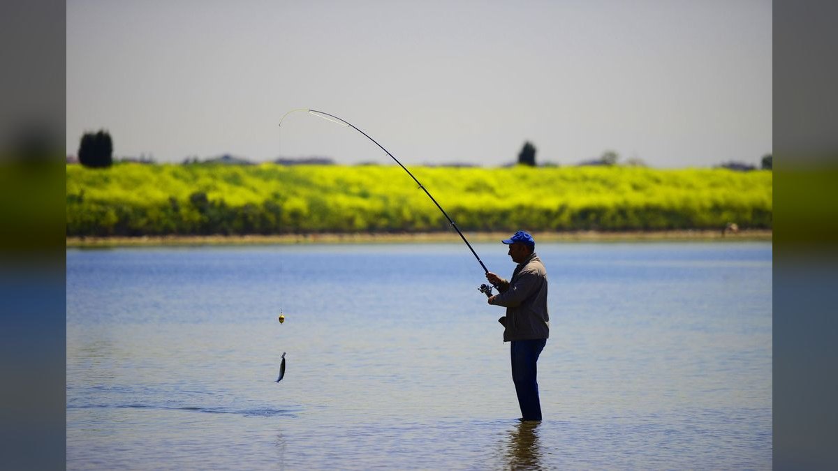 Best Used Sport Fishing Boats Under $75,000 in 2027 (Ranked) — figure 2