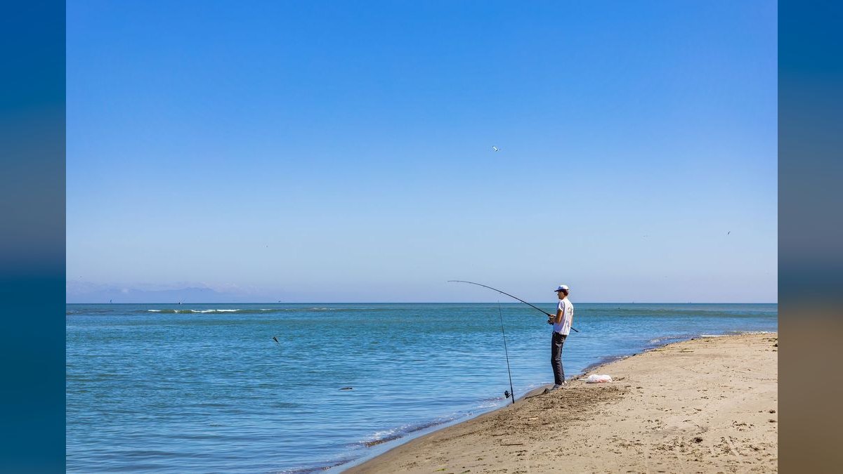 Best Used Sport Fishing Boats Under $75,000 in 2027 (Ranked)
