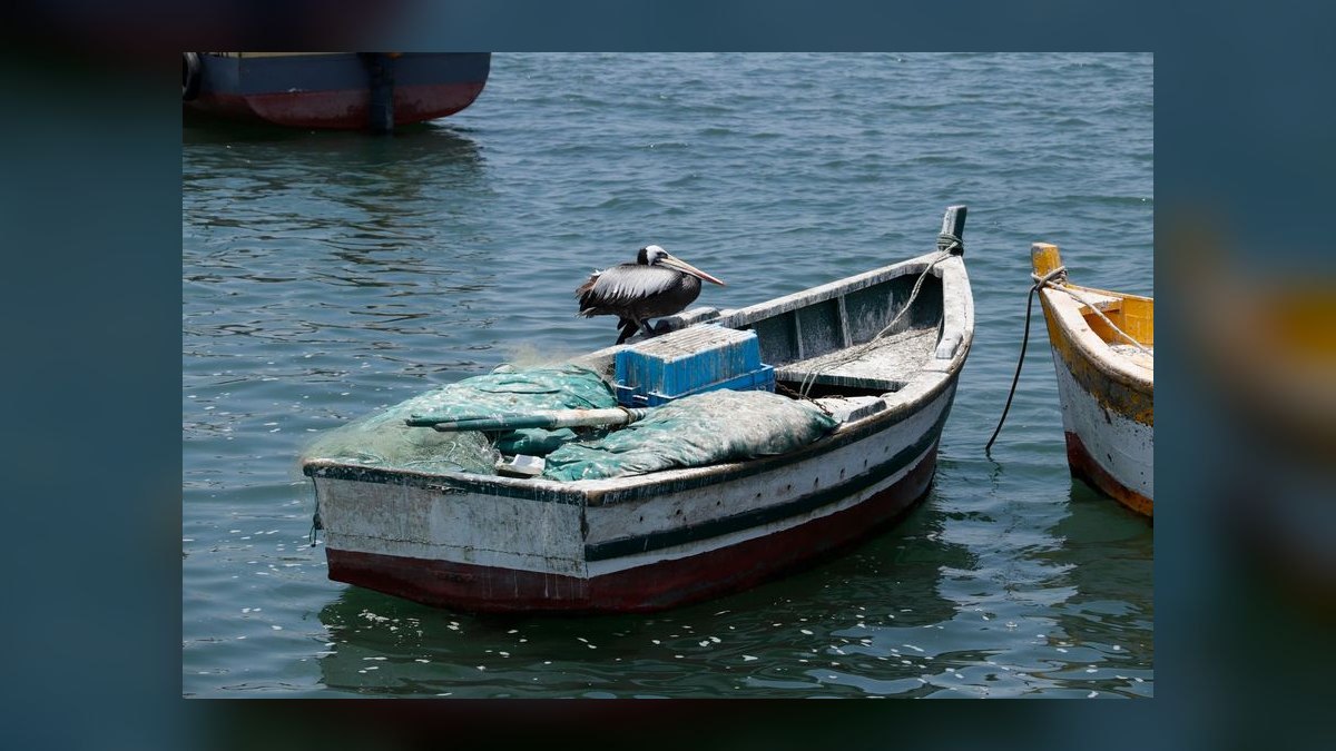 Best Boats for Fly Fishing in 2027 (Ranked) — figure 2