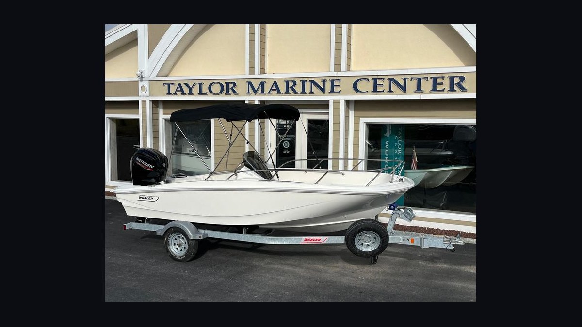 Best Boston Whaler Boat Models (Ranked) in 2027 — figure 10