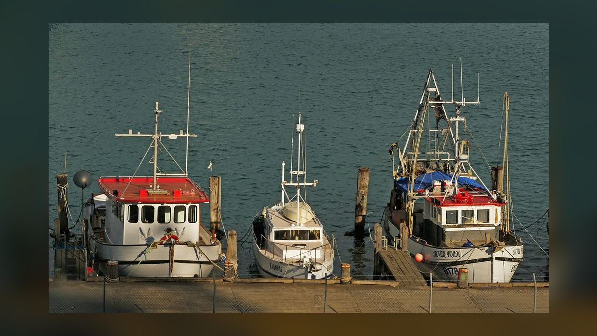 Best Sea Ray Boat Models (Ranked) in 2027 — figure 5
