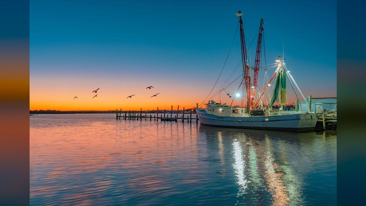 Best Carolina Skiff Boat Models (Ranked) in 2027