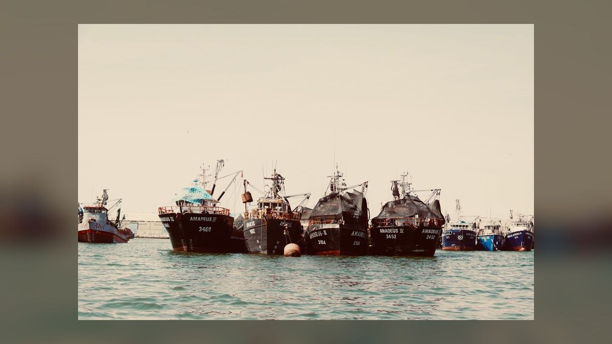 Top 10 Trawlers 2024 — figure 1