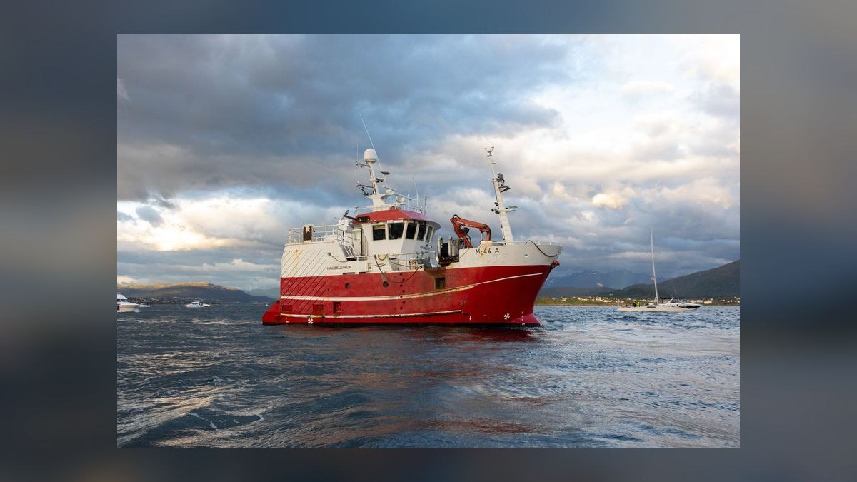 Top 10 Trawlers 2024 — figure 9