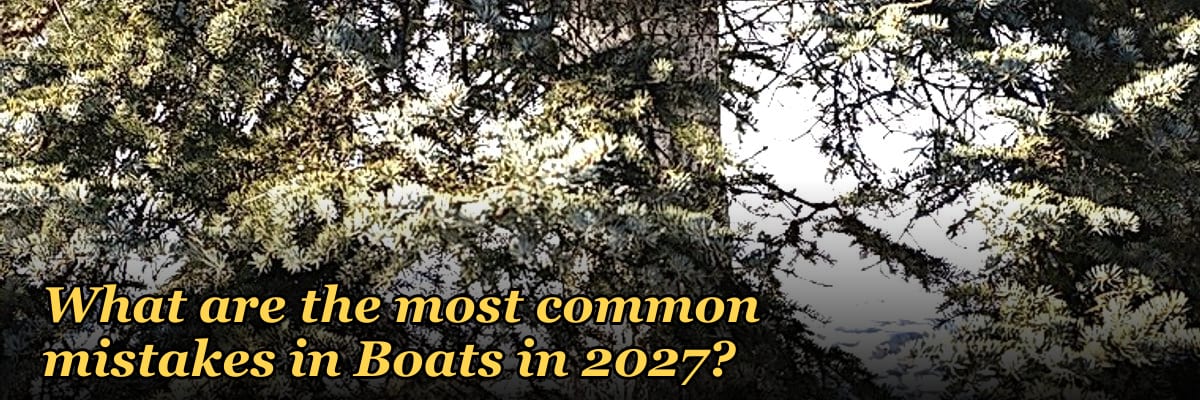 What are the most common mistakes in Boats in 2027?