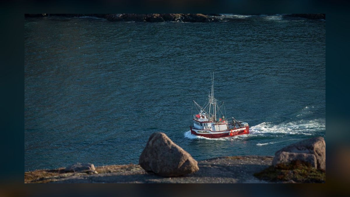 Top 10 Boat Brands for Saltwater 2027 — figure 5