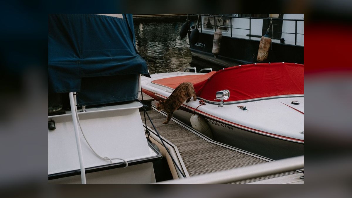 Top 10 Go-Fast Boats 2027 — figure 10