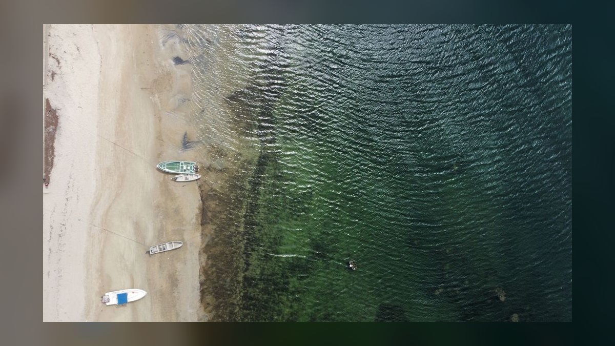 Top 10 Skiff Boats for Shallow Water 2027 — figure 5