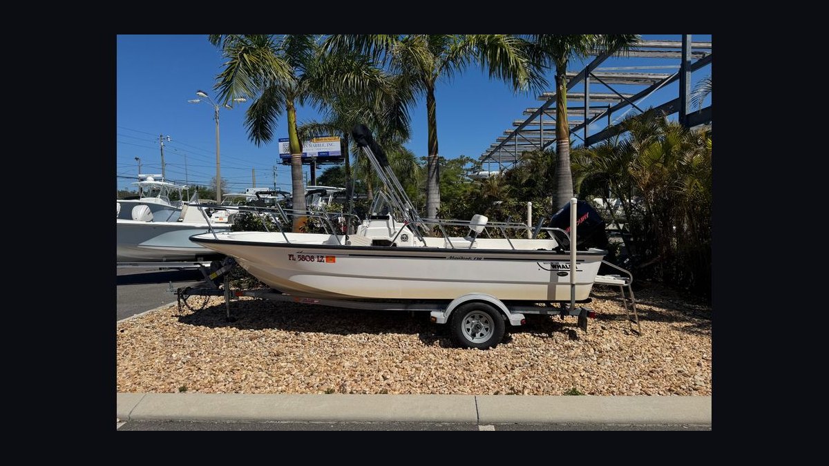 Top 10 Used Boston Whaler Models Under $60,000 in 2027