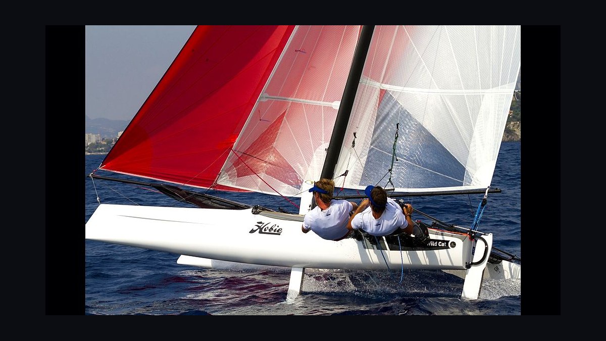 Top 10 Hobie Cat Sailboat Models in 2027 — figure 2