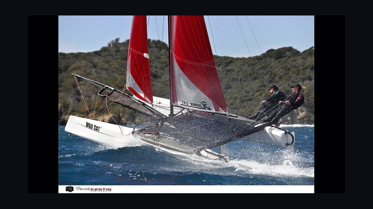Top 10 Hobie Cat Sailboat Models in 2027 — figure 8