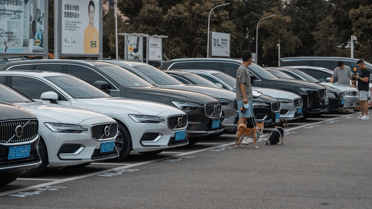Best Cars for Dog Owners in 2027 — figure 4