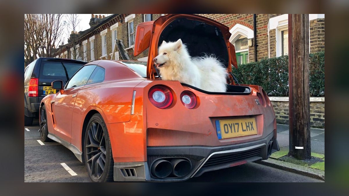 Best Cars for Dog Owners in 2027 — figure 8