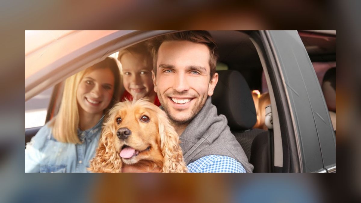 Best Cars for Dog Owners in 2027 — figure 9