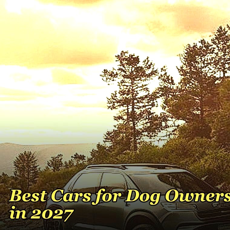 Best Cars for Dog Owners in 2027