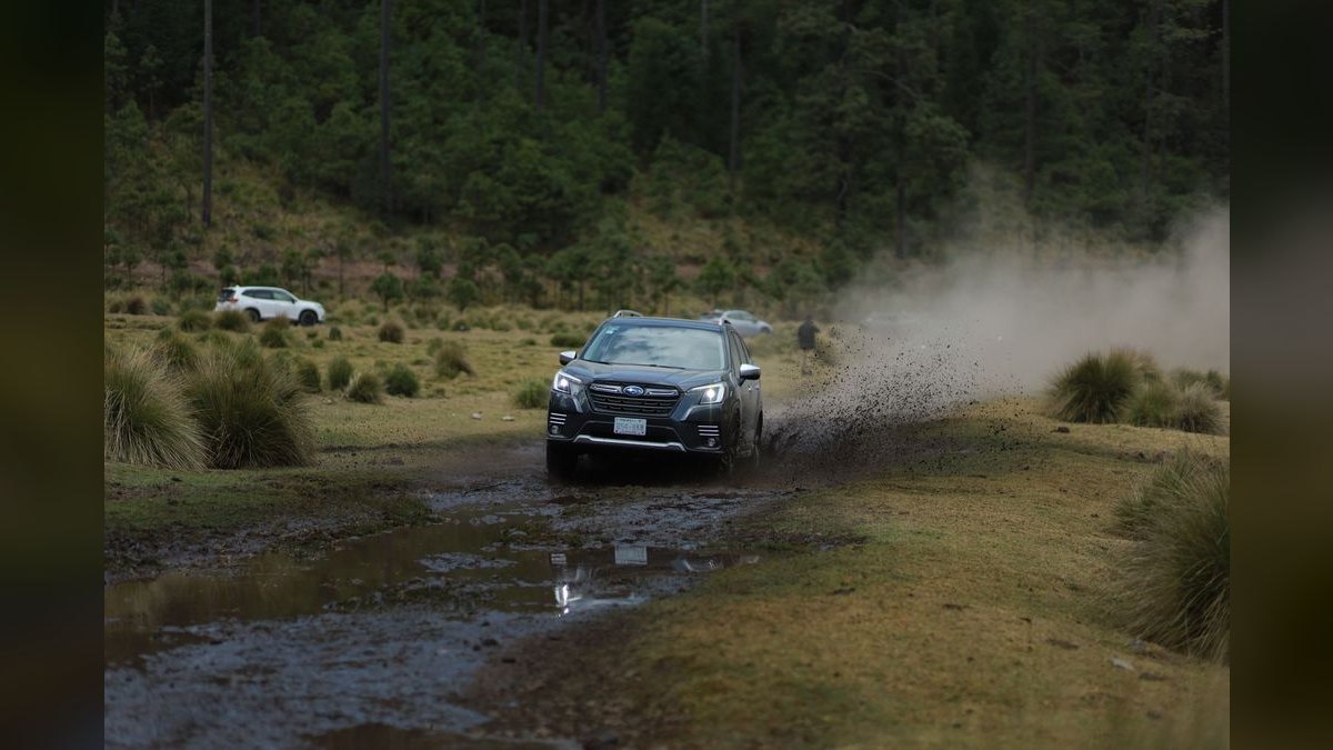 Best Subaru Forester Model Years (Ranked) — figure 4