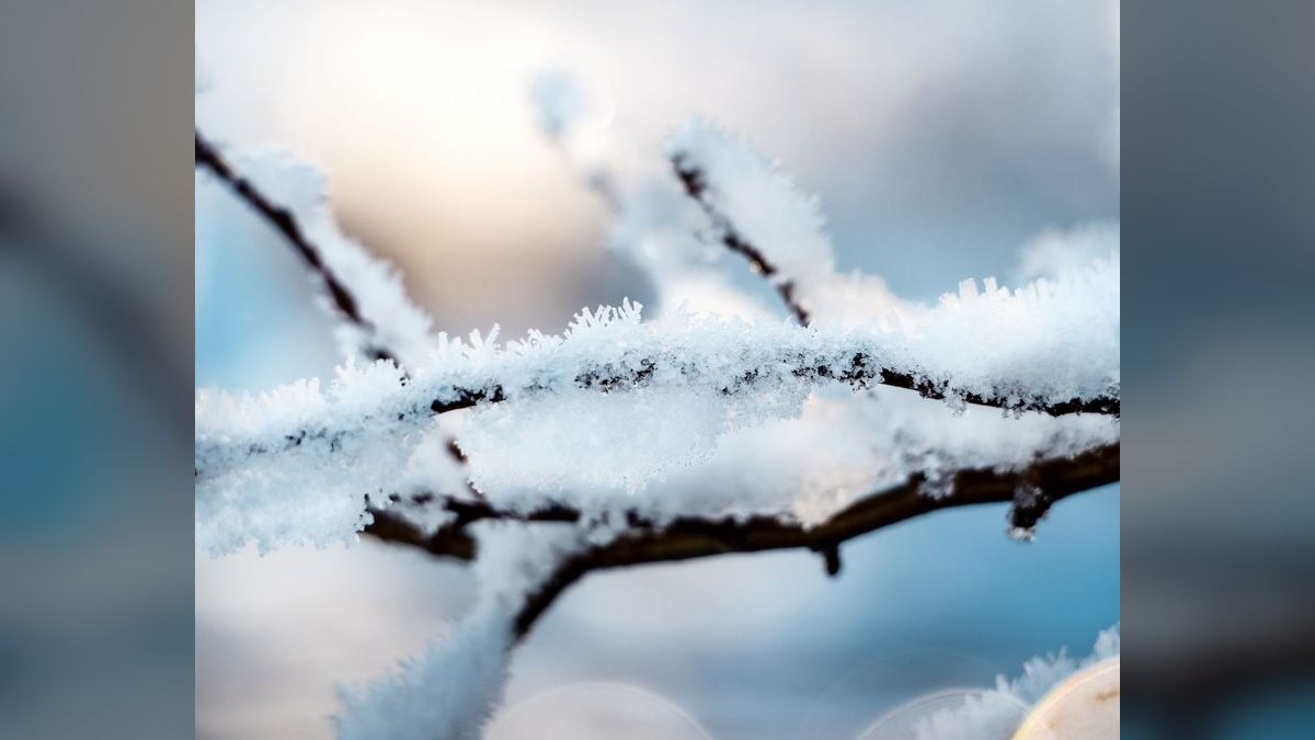 Best EVs for Cold Weather in 2027 — figure 3
