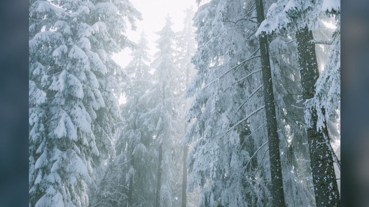 Best EVs for Cold Weather in 2027 — figure 6