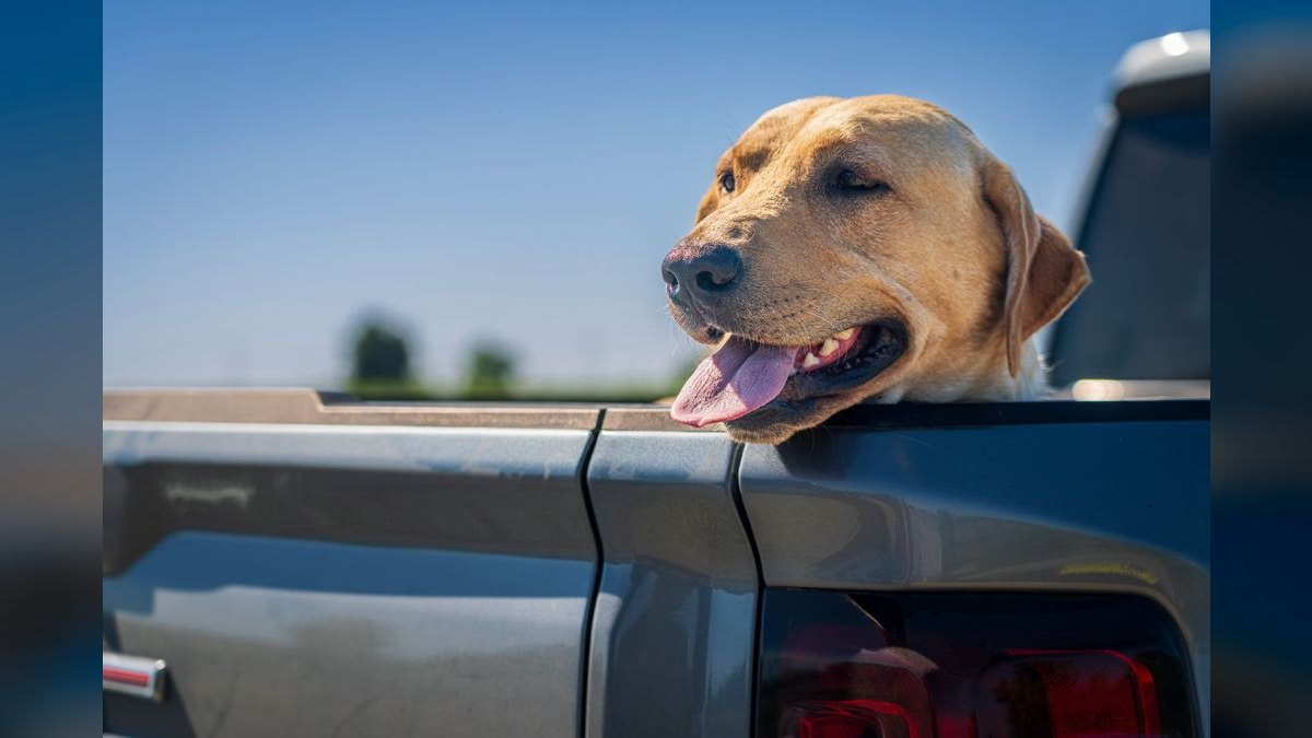 Best Used Pickup Trucks Under $20,000 in 2027 (Ranked)