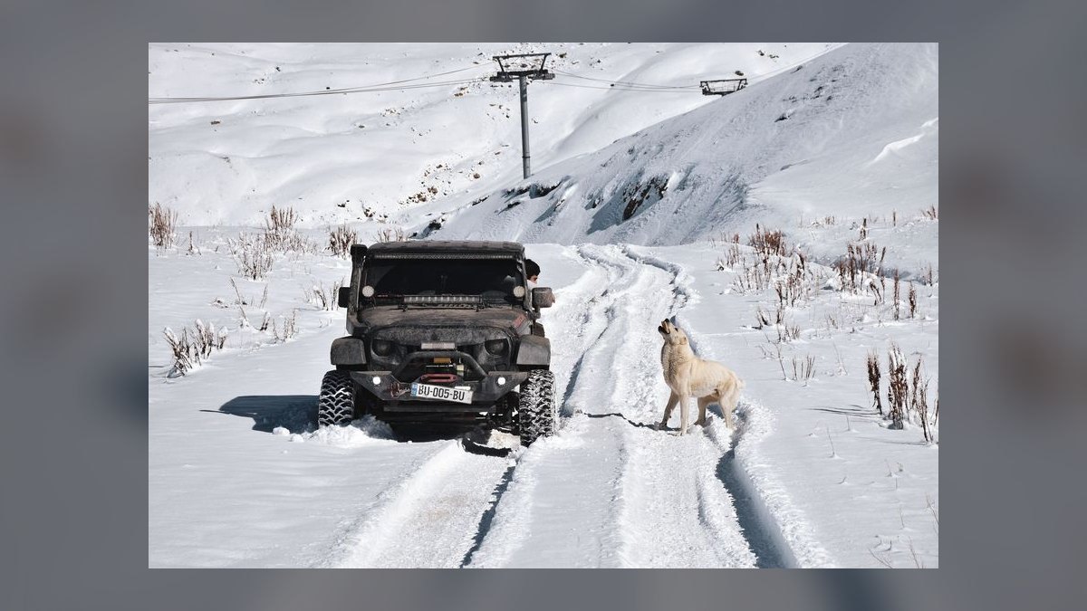 What are the most reliable used electric SUVs under $25,000 in 2027 for families in the Pacific Northwest, considering cold-weather range and charging infrastructure — figure 4