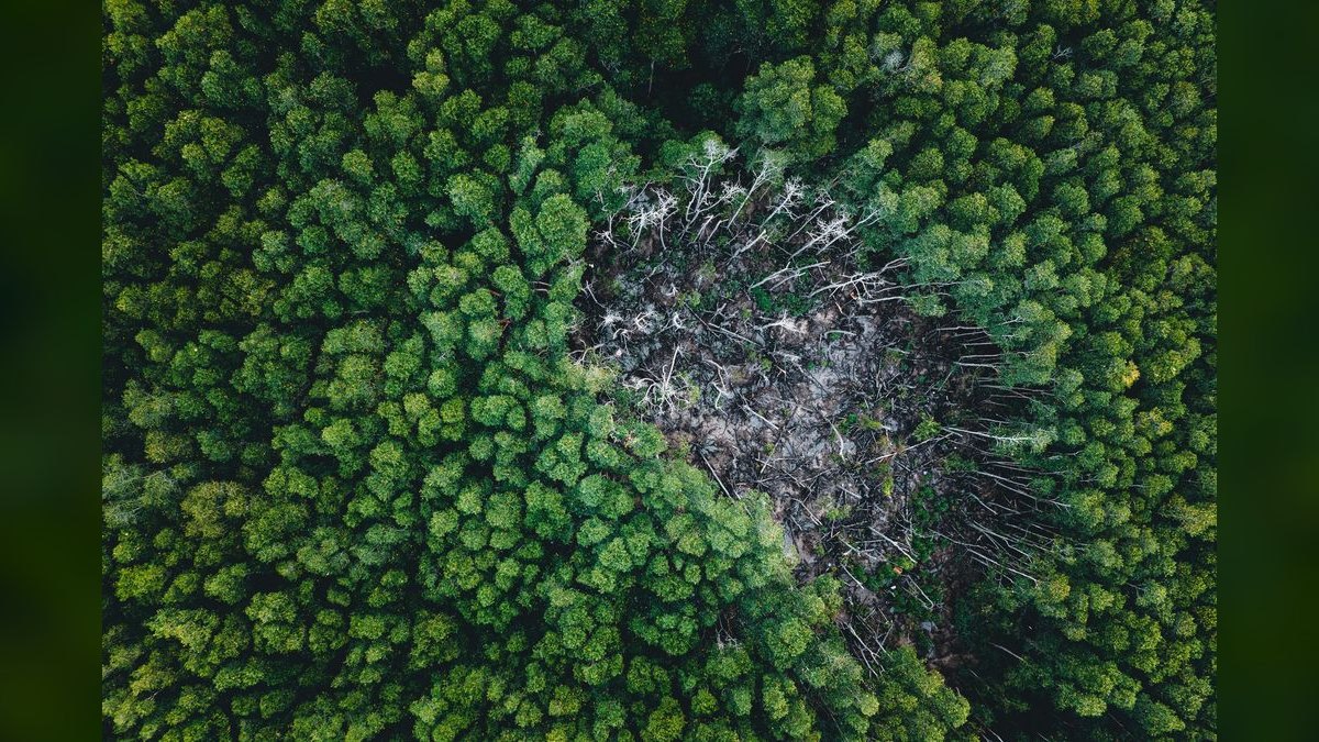 What are common pitfalls when implementing RevOps in 2027 — figure 5