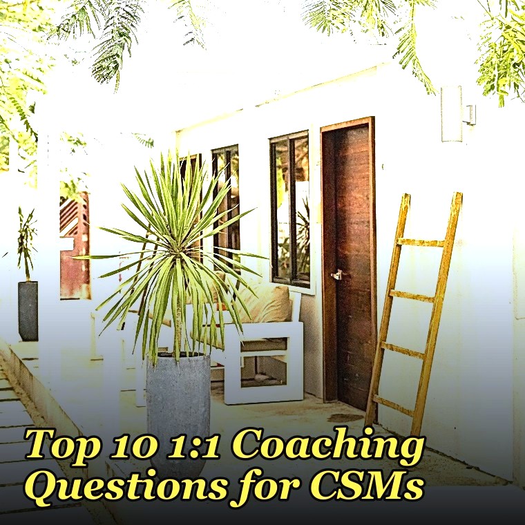 Top 10 1:1 Coaching Questions for CSMs in 2027