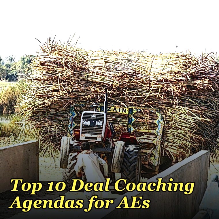 Top 10 Deal Coaching Agendas for AEs in 2027