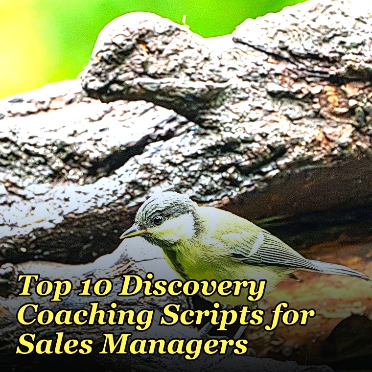 Top 10 Discovery Coaching Scripts for Sales Managers in 2027