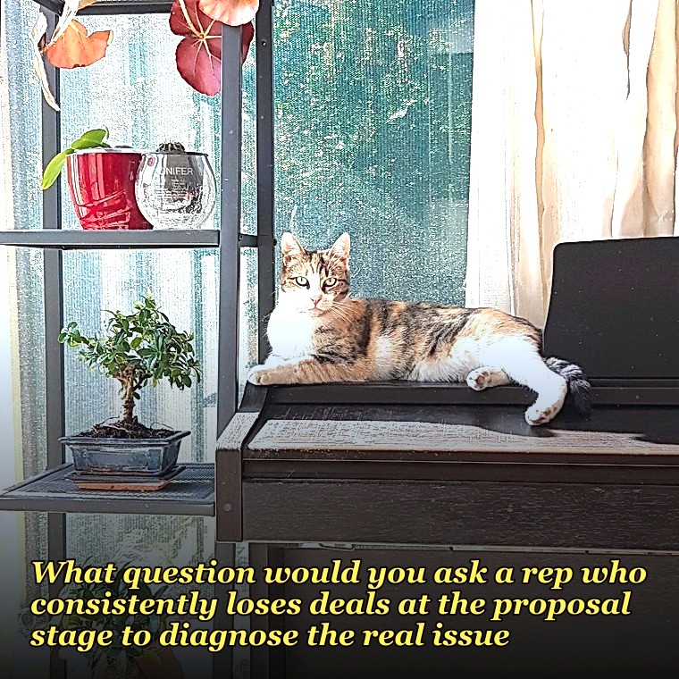 What question would you ask a rep who consistently loses deals at the proposal stage to diagnose the real issue?