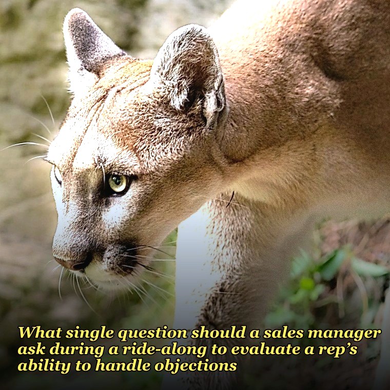What single question should a sales manager ask during a ride-along to evaluate a rep’s ability to handle objections?