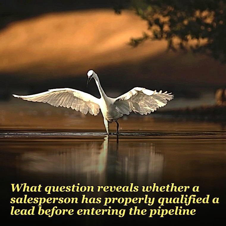 What question reveals whether a salesperson has properly qualified a lead before entering the pipeline?