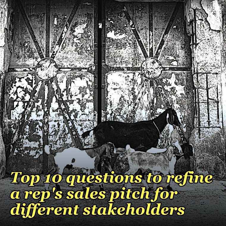 Top 10 questions to refine a rep's sales pitch for different stakeholders in 2027
