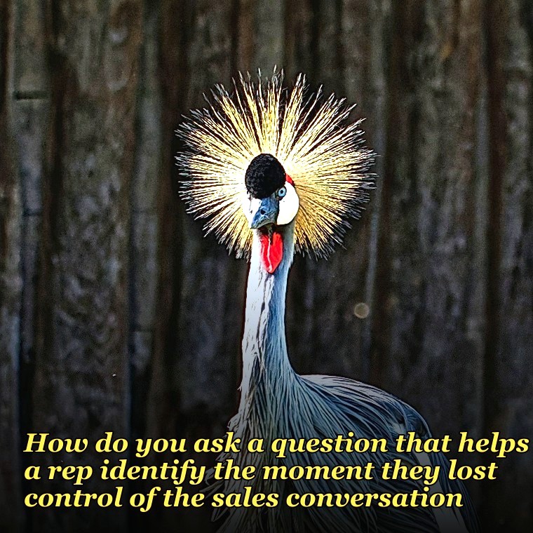 How do you ask a question that helps a rep identify the moment they lost control of the sales conversation?