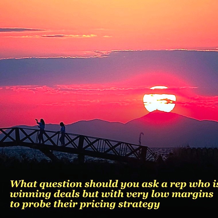What question should you ask a rep who is winning deals but with very low margins to probe their pricing strategy?