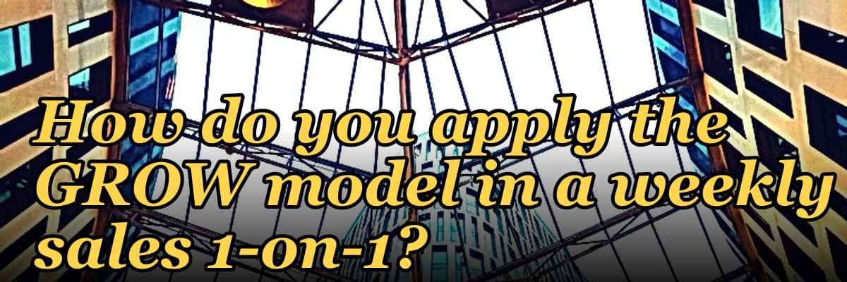 How do you apply the GROW model in a weekly sales 1-on-1?