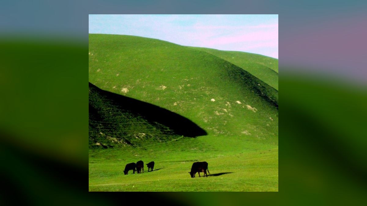 The 10 Most Prestigious Country Clubs in California (2027) — figure 3