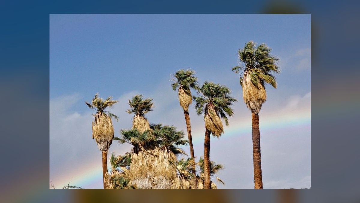 The 10 Most Prestigious Country Clubs in California (2027) — figure 5
