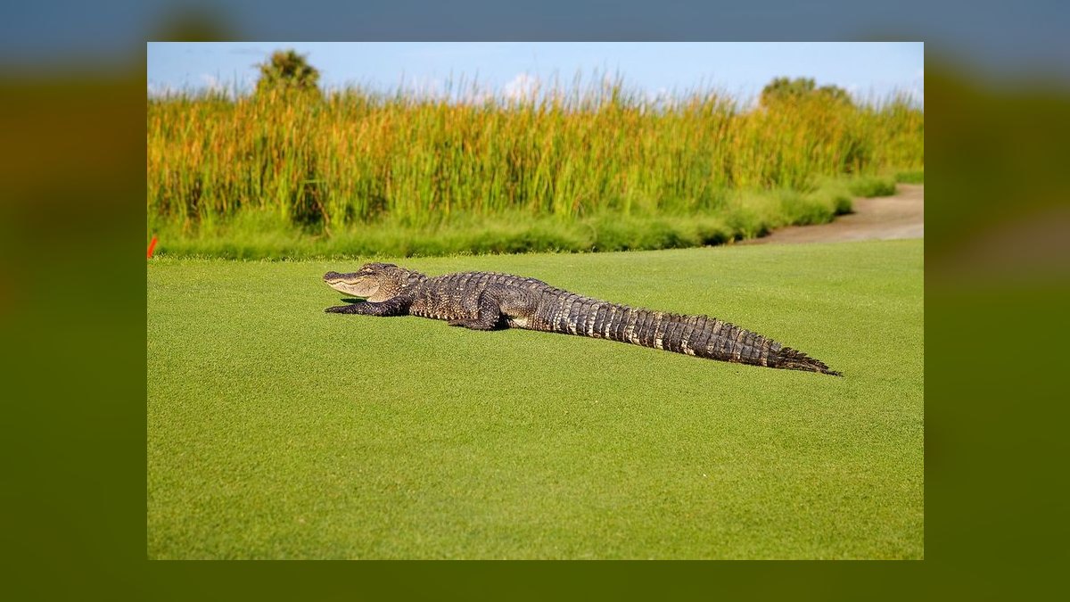 The 10 Best Public Golf Courses in the United States to Play in 2027 — figure 5