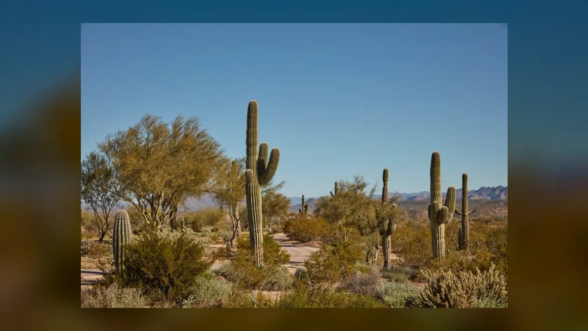 The 10 Best Golf Courses in the American Desert Southwest to Play in 2027 — figure 1