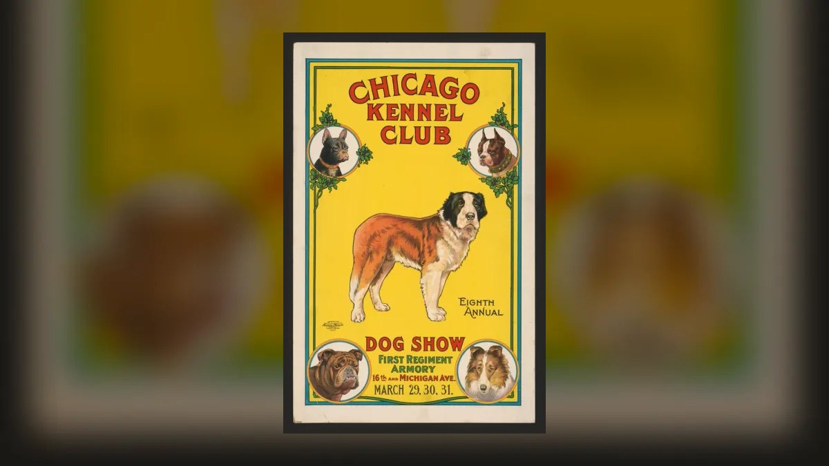 The 10 Best Private Members' Clubs in Chicago (2027) — figure 6